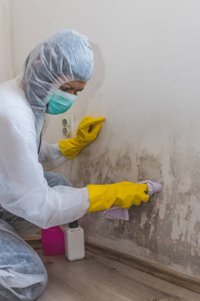 Best Post-Remediation Verification Testing  in Mount Juliet, TN
