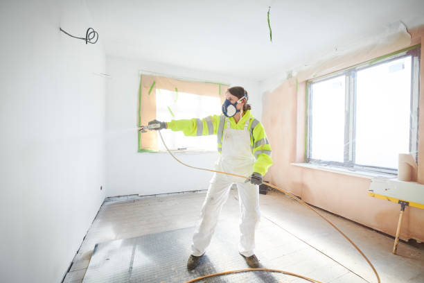 Best Mold Damage Restoration  in Mount Juliet, TN