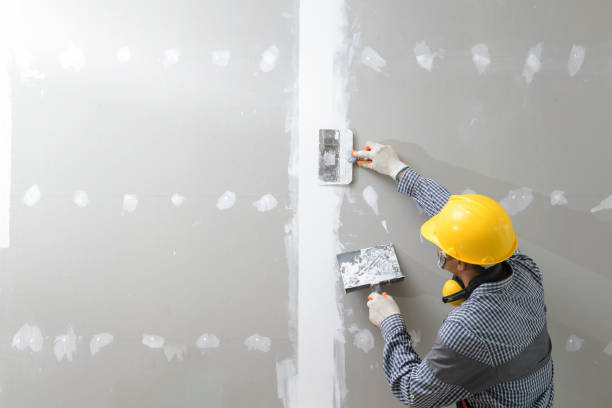 Best Mold Removal for HVAC Installations  in Mount Juliet, TN