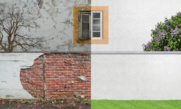 Reliable Mount Juliet, TN Mold Removal Solutions