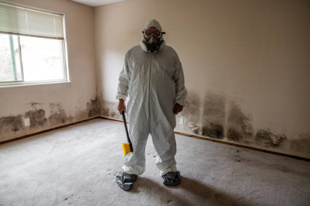 Best Attic Mold Removal  in Mount Juliet, TN